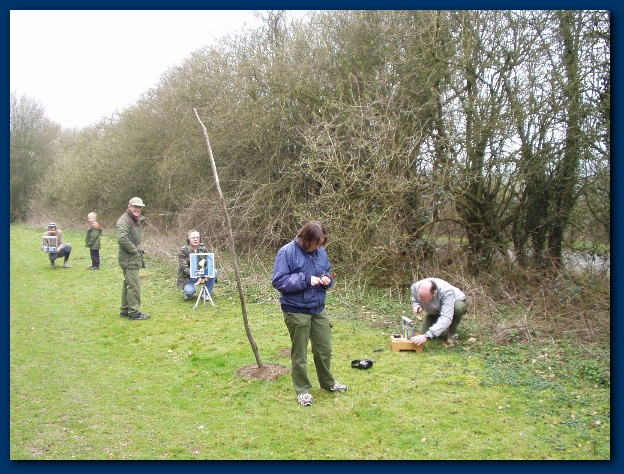 600x449 pixels (182K)